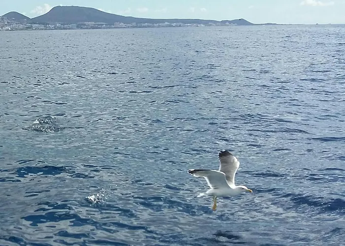 Close To Golden Mile דירה *