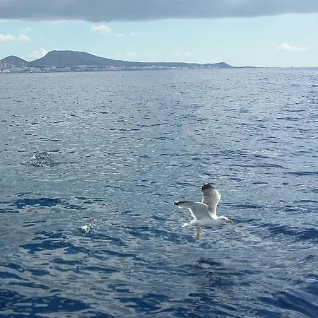 Close To Golden Mile Apartmán *