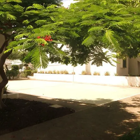 Close To Golden Mile Apartment Playa de las Americas (Tenerife)